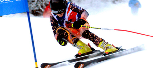 rossignol